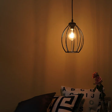 Round Metal Wire Lamp Cage
