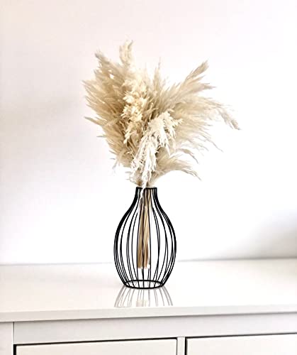 Dome Shape Metal Wire Glass Tube Vase -Black