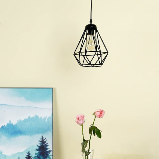 Metal Wire Lamp Cage Indoor Lighting