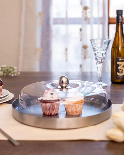 Silver Stainless Steel Cake Plate with Fiber Dome