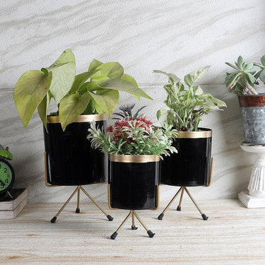 Black & Gold Metal Votive Planter Set Of 3