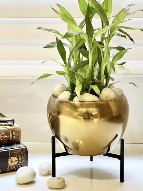 Soothing Interiors Metal Flower vase for Home Decor and Indoor Room Vintage Vase Filler